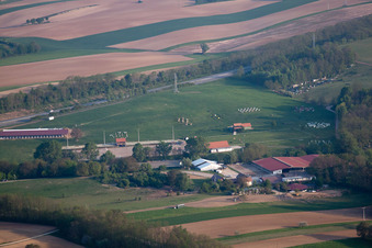 Haras in Neewiller-près-Lauterbourg in the state Bas-Rhin, France
