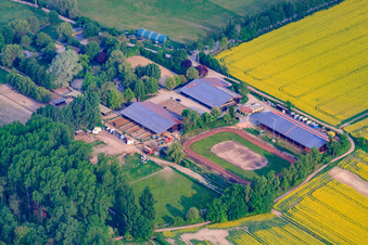 Aerial view of Riding Club Altrip eV in Altrip in the state Rhineland-Palatinate, Germany