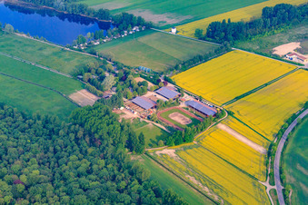 Aerial photograpy of Riding club Altrip eV in Altrip in the state Rhineland-Palatinate, Germany