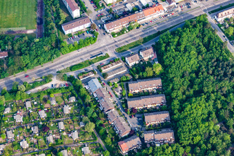 Forest clearing in the district Rheinau in Mannheim in the state Baden-Wuerttemberg, Germany