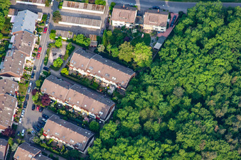 Aerial view of Forest clearing in the district Rheinau in Mannheim in the state Baden-Wuerttemberg, Germany