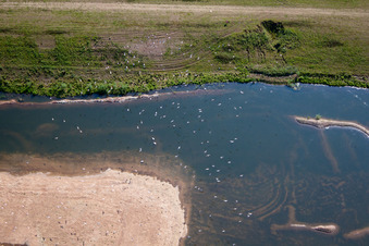 Landfill at Ripple in Ripple in the state England, Great Britain
