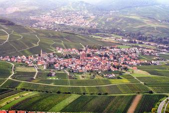 Wine-growing village from the south in Birkweiler in the state Rhineland-Palatinate, Germany