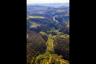 Valley of the Wüsteichelsbach in Eppenbrunn in the state Rhineland-Palatinate, Germany