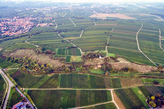 Little Kalmit in Ilbesheim bei Landau in the state Rhineland-Palatinate, Germany