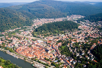 Oblique view of Village on the banks of the area Neckar - river course in Eberbach in the state Baden-Wurttemberg