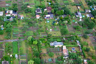 Allotment garden Timmenrode in the district Timmenrode in Blankenburg in the state Saxony-Anhalt, Germany