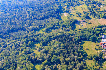 Aerial view of Bienwald in Jockgrim in the state Rhineland-Palatinate, Germany