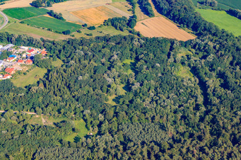 Clay pit in Jockgrim in the state Rhineland-Palatinate, Germany from above