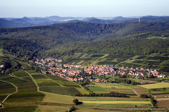 Village view in the district Pleisweiler in Pleisweiler-Oberhofen in the state Rhineland-Palatinate, Germany