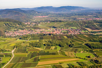 View of the town on the Wine Route from the south in Klingenmünster in the state Rhineland-Palatinate, Germany