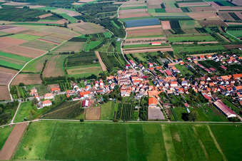 Village in Viehstrich on the edge of the Bienwald from the south in Schweighofen in the state Rhineland-Palatinate, Germany
