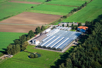 Cactus Land Steinfeld in Steinfeld in the state Rhineland-Palatinate, Germany seen from above