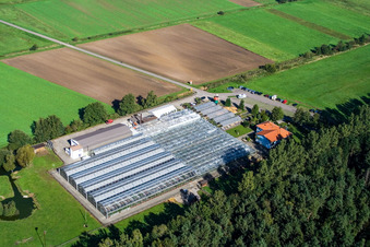 Cactus Land in Steinfeld in the state Rhineland-Palatinate, Germany