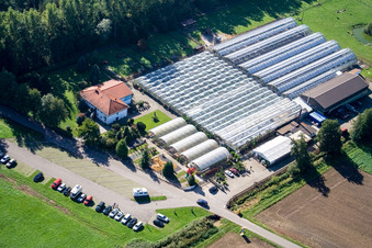 Aerial view of Cactus Land in Steinfeld in the state Rhineland-Palatinate, Germany