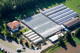 Oblique view of Cactus Land in Steinfeld in the state Rhineland-Palatinate, Germany
