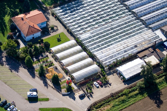 Cactus Land in Steinfeld in the state Rhineland-Palatinate, Germany from above