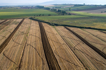 Aerial view of Harvested grain field structures Landscape on a grain field in Anatraia in Castiglion Fiorentino in the state Arezzo, Italy