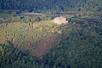 Montalcino in the state Siena, Italy from above