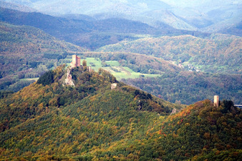 Trifels Castle in the district Bindersbach in Annweiler am Trifels in the state Rhineland-Palatinate, Germany from the plane