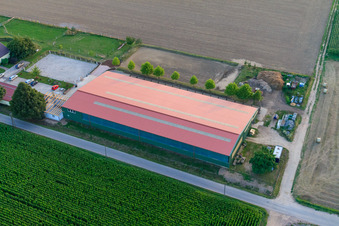 Equestrian center Fohlenhof in Steinweiler in the state Rhineland-Palatinate, Germany from a drone