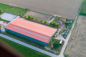 Equestrian center Fohlenhof in Steinweiler in the state Rhineland-Palatinate, Germany seen from a drone