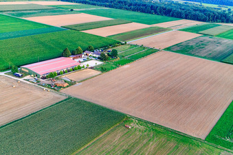 Aerial view of Equestrian center Fohlenhof in Steinweiler in the state Rhineland-Palatinate, Germany