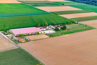 Oblique view of Equestrian center Fohlenhof in Steinweiler in the state Rhineland-Palatinate, Germany