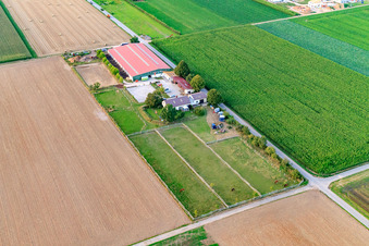 Bird's eye view of Equestrian center Fohlenhof in Steinweiler in the state Rhineland-Palatinate, Germany