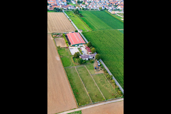 Drone recording of Equestrian center Fohlenhof in Steinweiler in the state Rhineland-Palatinate, Germany