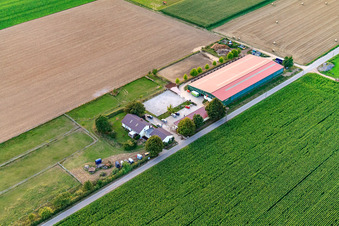 Drone image of Equestrian center Fohlenhof in Steinweiler in the state Rhineland-Palatinate, Germany