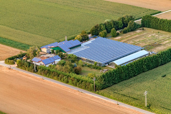 Sudetenhof in Steinweiler in the state Rhineland-Palatinate, Germany seen from above