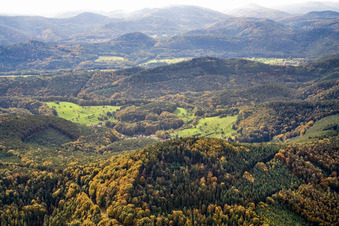 From the north in the district Blankenborn in Bad Bergzabern in the state Rhineland-Palatinate, Germany