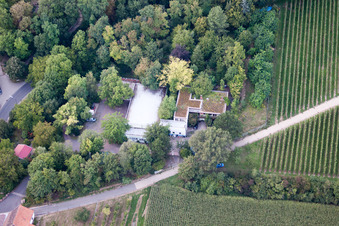 Aerial view of Company premises of SEKA Schutzbelüftung GmbH with halls, company buildings and production facilities in the district Wollmesheim in Landau in der Pfalz in the state Rhineland-Palatinate, Germany