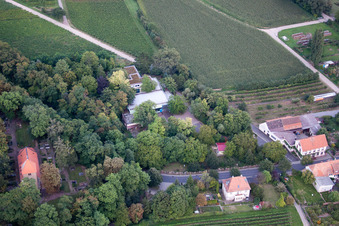 Oblique view of Company premises of SEKA Schutzbelüftung GmbH with halls, company buildings and production facilities in the district Wollmesheim in Landau in der Pfalz in the state Rhineland-Palatinate, Germany