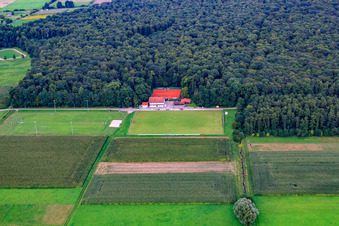 Sports fields of TSV 1908 Freckenfeld in Freckenfeld in the state Rhineland-Palatinate, Germany
