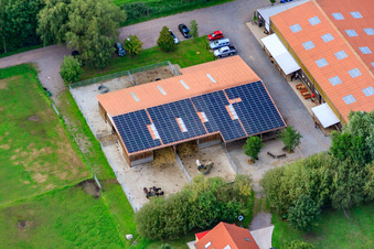 Bienwald Icelandic Horse Stud in Freckenfeld in the state Rhineland-Palatinate, Germany from the plane