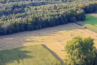 Aerial view of Bruchbach-Otterbach lowlands in Kandel in the state Rhineland-Palatinate, Germany