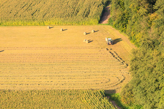 Aerial photograpy of Hay bales in the Bruchbach-Otterbach lowlands in Kandel in the state Rhineland-Palatinate, Germany
