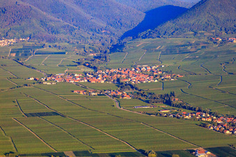 Village view between vineyards from the east in the morning light in Hainfeld in the state Rhineland-Palatinate, Germany
