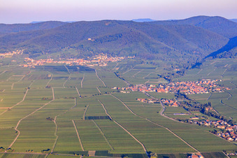 View of the town from the east. In the background Burrweiler on the edge of the Haardt in the Palatinate Forest in the morning light. in Hainfeld in the state Rhineland-Palatinate, Germany