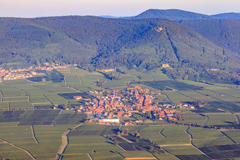Winegrowing village from the east In the background Weyher and the Rietburg at the Haardt edge of the Palatinate Forest in the morning light in Rhodt unter Rietburg in the state Rhineland-Palatinate, Germany