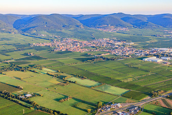 City view from the southeast. In the background St. Martin am Haardtrand of the Palatinate Forest in the morning light in Edenkoben in the state Rhineland-Palatinate, Germany