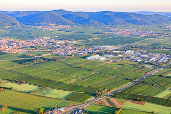 Aerial view of City view from the southeast. In the background St. Martin am Haardtrand of the Palatinate Forest in the morning light in Edenkoben in the state Rhineland-Palatinate, Germany