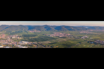 Panorama perspective Fields of wine cultivation landscape in Maikammer in the state Rhineland-Palatinate