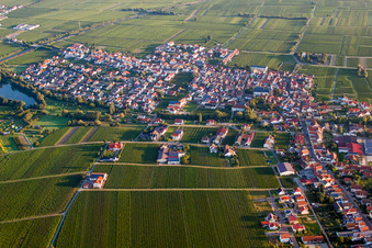 Village - view on the edge of agricultural fields and farmland in Kirrweiler (Pfalz) in the state Rhineland-Palatinate, Germany out of the air