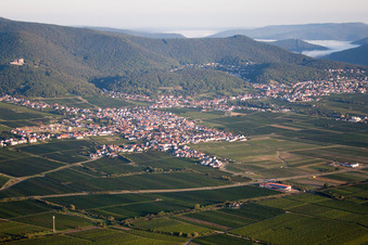 District Diedesfeld in Neustadt an der Weinstraße in the state Rhineland-Palatinate, Germany from above