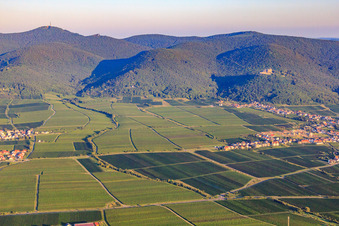 Wine-growing village from the southeast below Hambach Castle on the edge of the Haardt in the Palatinate Forest in the morning light in the district Diedesfeld in Neustadt an der Weinstraße in the state Rhineland-Palatinate, Germany