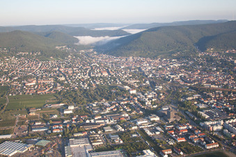 Neustadt an der Weinstraße in the state Rhineland-Palatinate, Germany from the plane