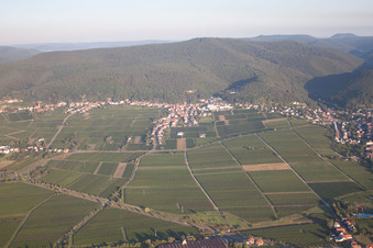 Aerial photograpy of District Haardt in Neustadt an der Weinstraße in the state Rhineland-Palatinate, Germany